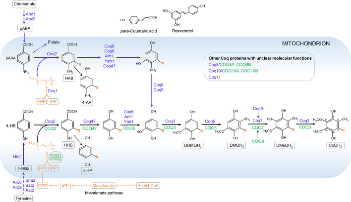 FIGURE 15.