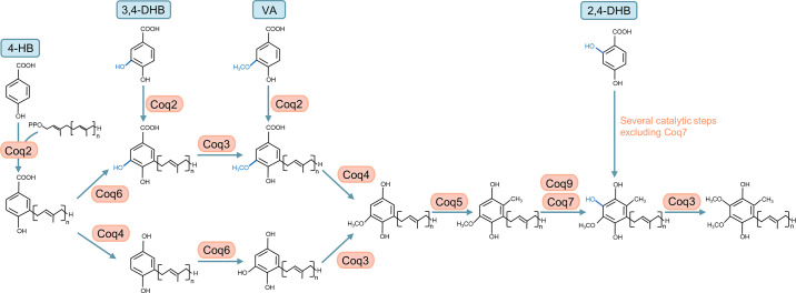 Figure 16.