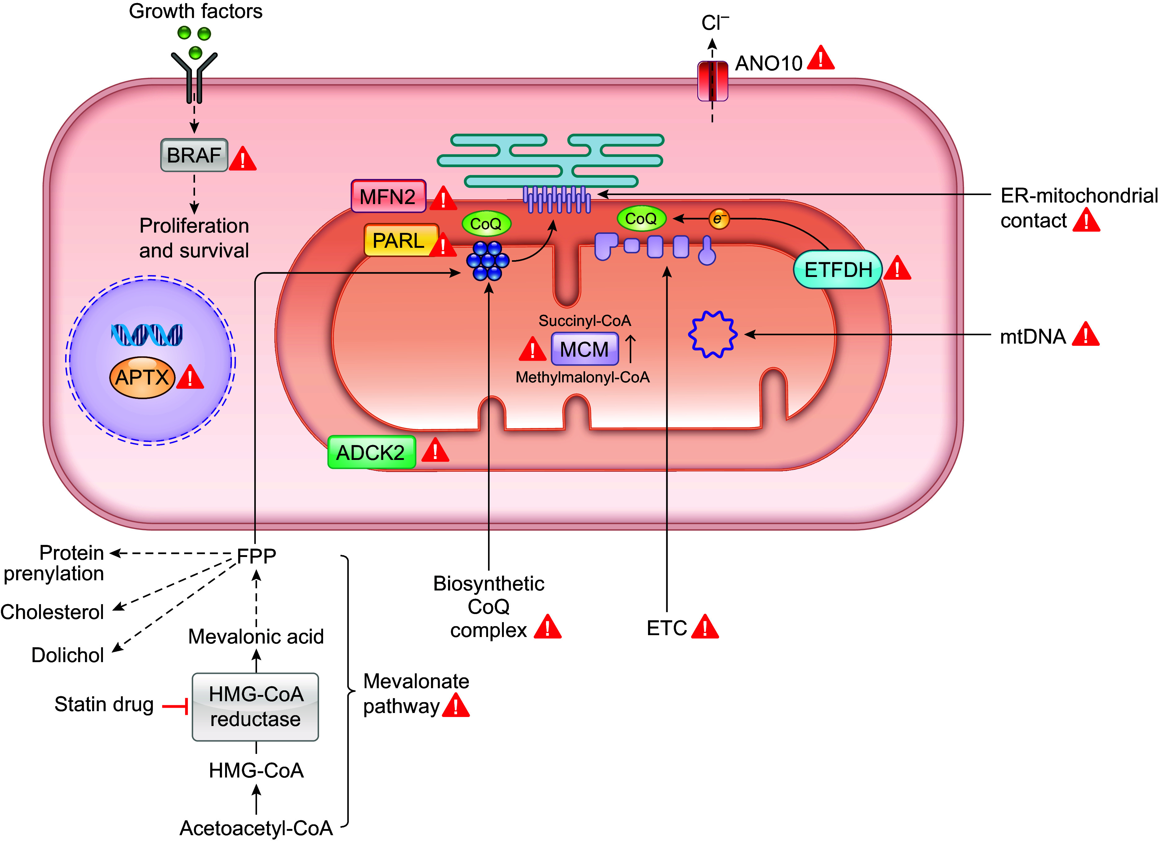 Figure 17.