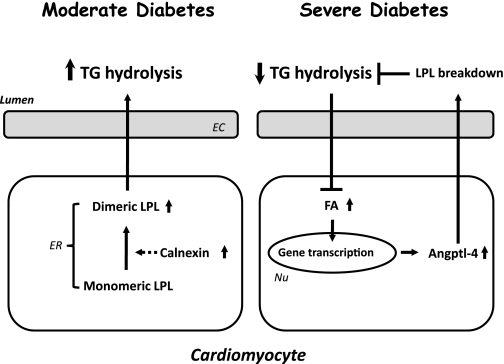 FIG. 7.