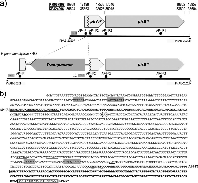 FIG 3