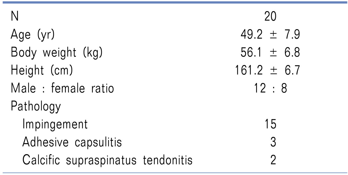 graphic file with name kjpain-25-168-i001.jpg