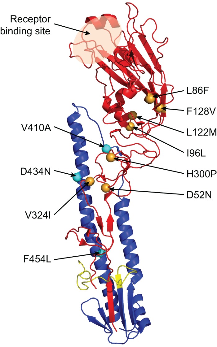 Fig 3