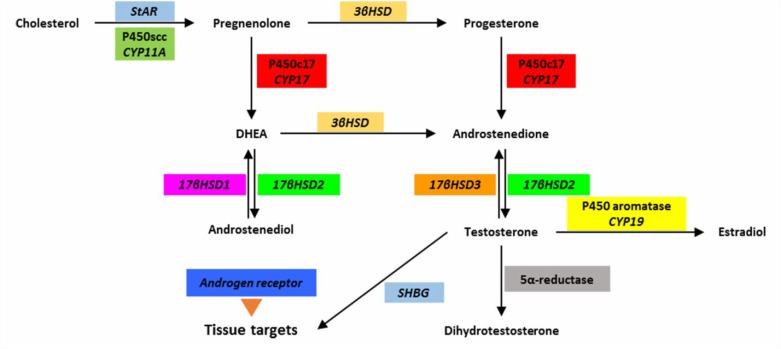 Figure 4.