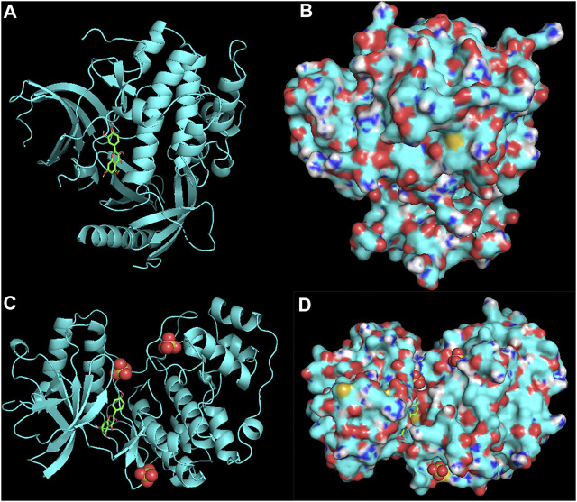 FIGURE 7