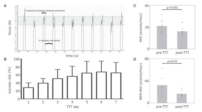 Figure 1)