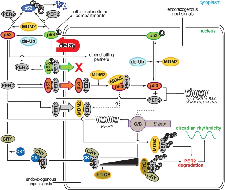 FIGURE 2