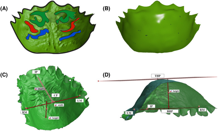 FIGURE 1