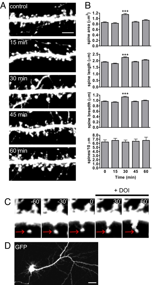 Fig. 3.