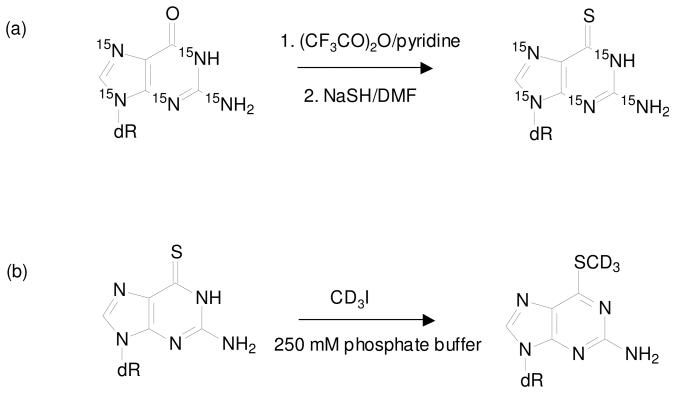 Scheme 2