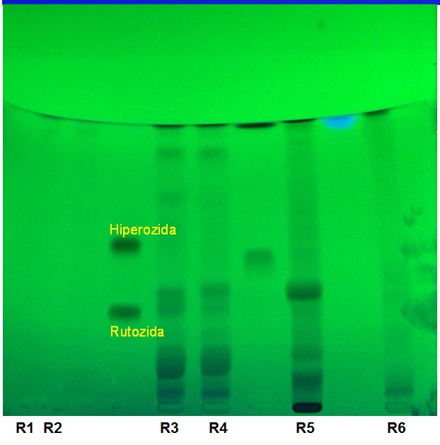 Fig.1