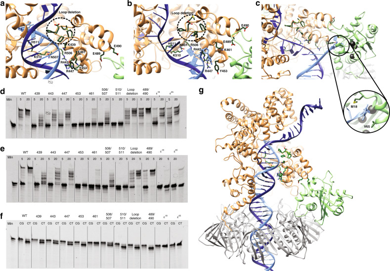 Fig. 6