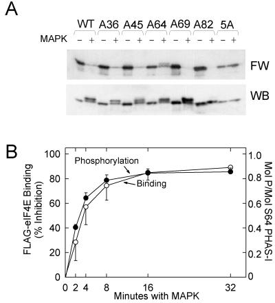 FIG. 6