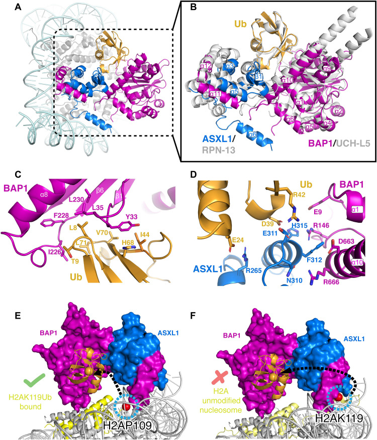 Fig. 2.