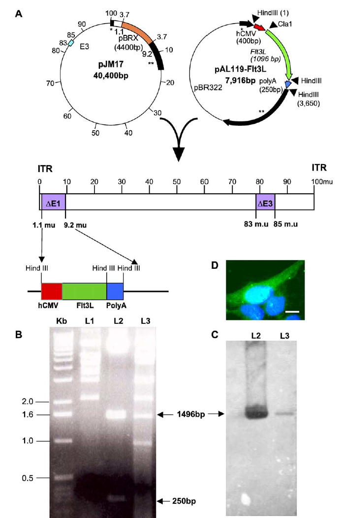 FIG. 1