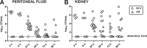 FIG. 3.