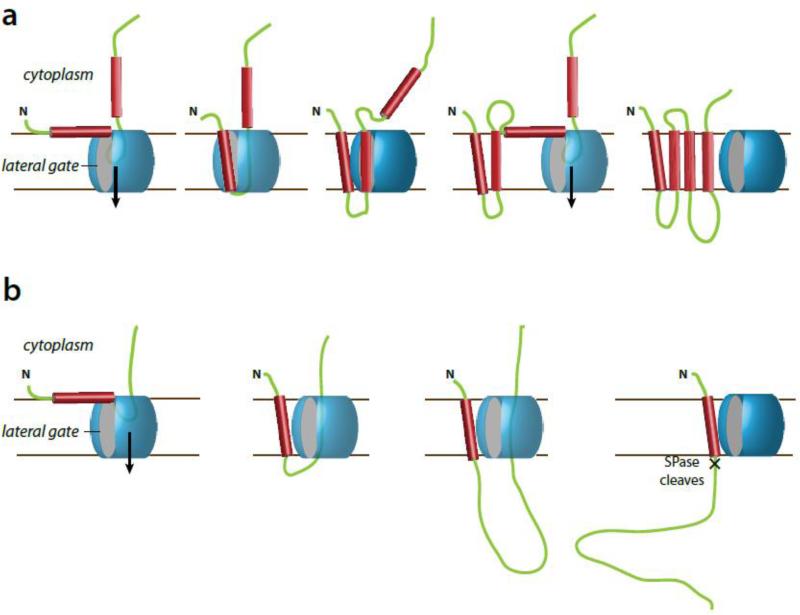 Figure 15