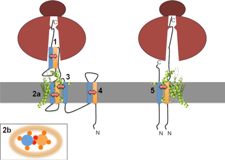 Figure 14