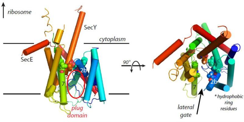 Figure 9