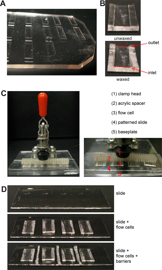 Figure 4