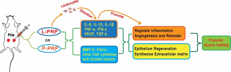 Figure 9.