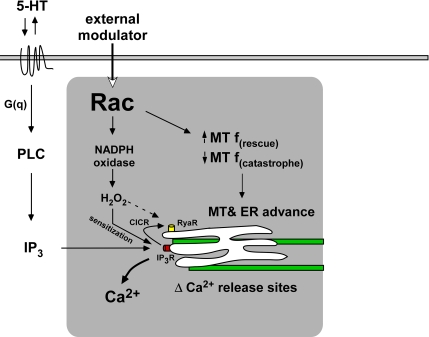 Figure 7.