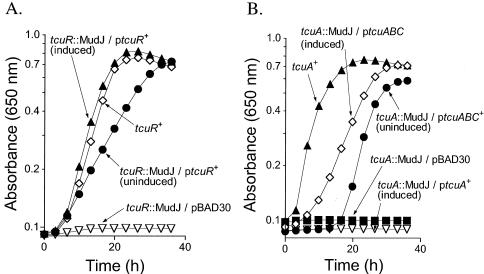 FIG. 7.