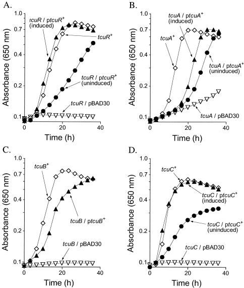 FIG. 6.