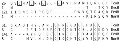 FIG. 5.