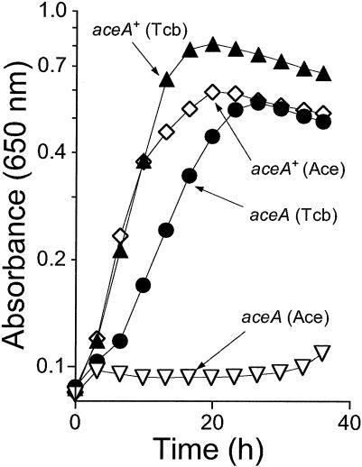 FIG. 8.