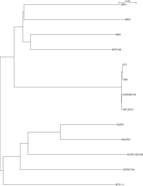 Figure 5