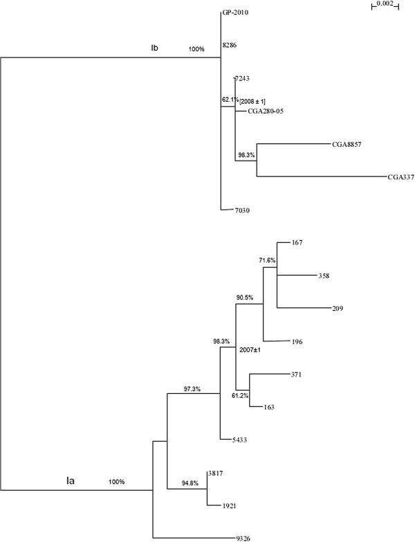 Figure 11