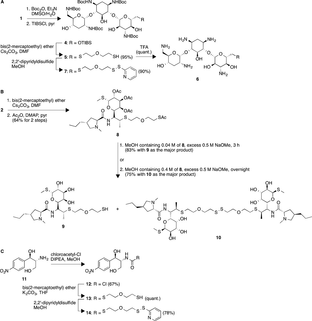 Scheme 1