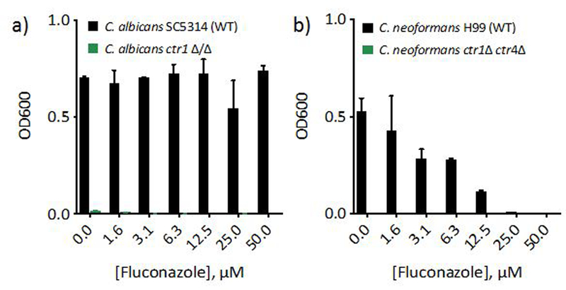 Figure 5 |