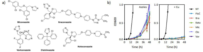 Figure 6 |