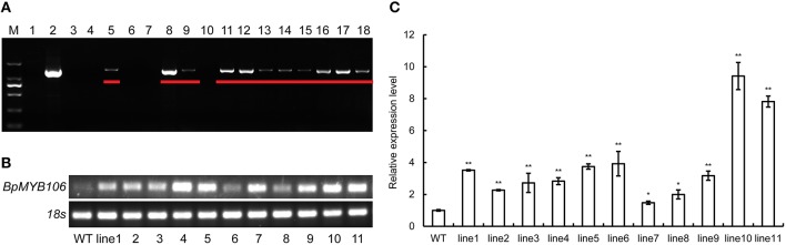 Figure 5