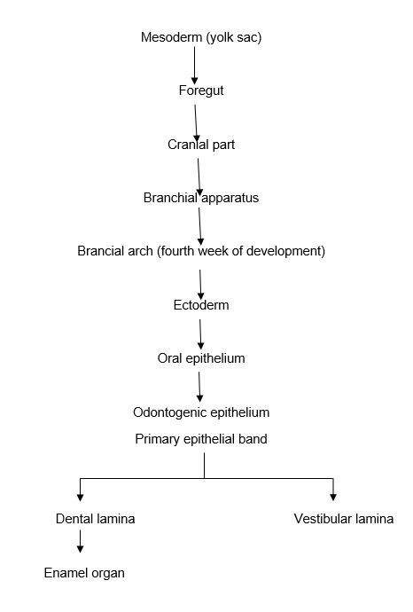 [Table/Fig-2]: