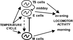 Figure 9.