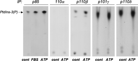 Fig. 6