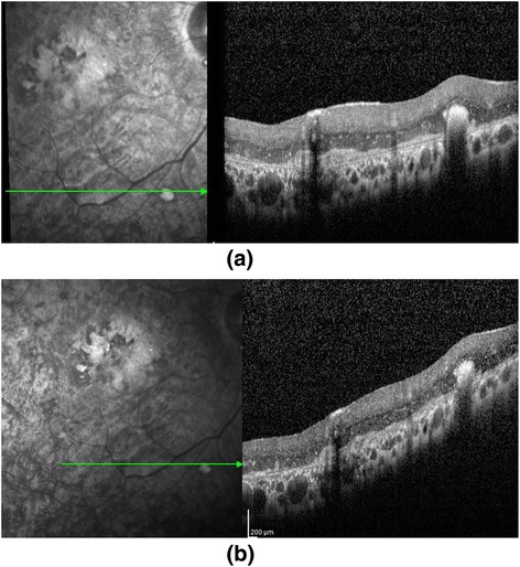 Fig. 7