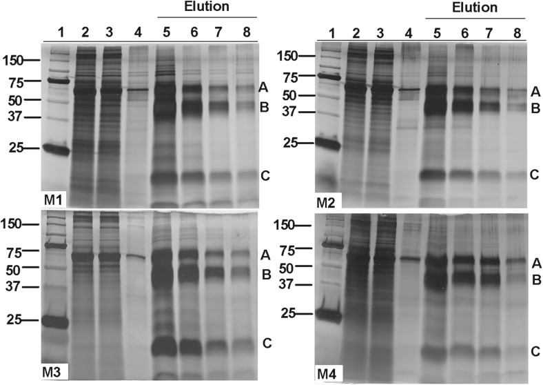 Figure 2.