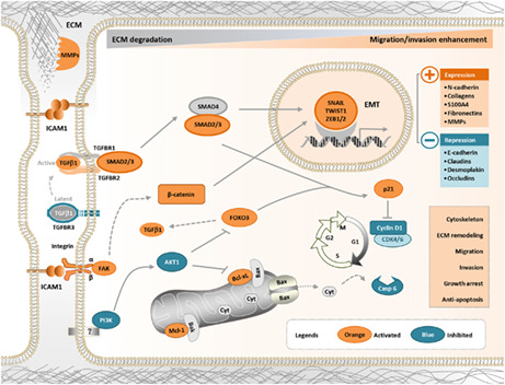 graphic file with name CAS-113-3751-g001.jpg