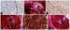 FIG. 4.