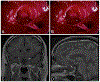 FIG. 2.