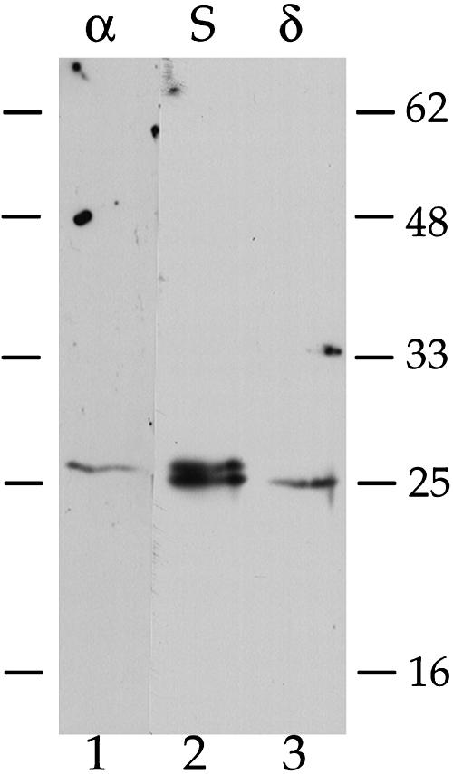 Figure 10.