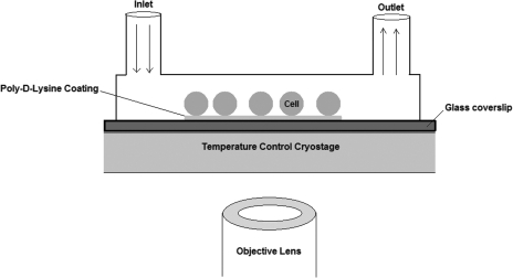 FIG. 1.