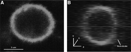 FIG. 3.