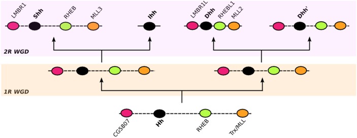 Figure 10