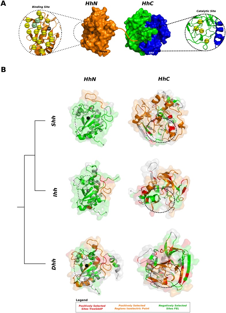 Figure 9