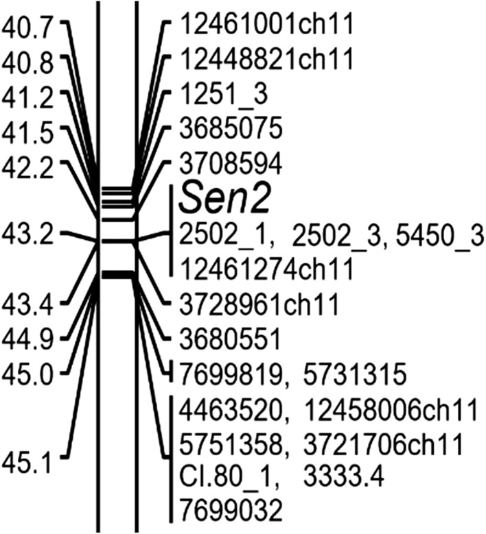 Fig. 2